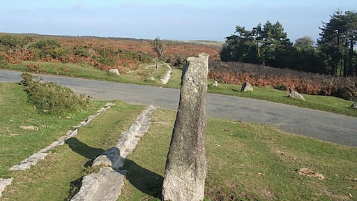 Ilsington: by the road to Beckaford, near to Haytor Vale, Devon, Great Britain. The Haytor Granite Tramway once crossed the road here. It then heads downhill by the road to Bovey Tracey and disappears into Yarner Wood on its way to Ventiford wharf on the Stover Canal. For more on the tramway see SX7677: Ilsington: Haytor Granite Tramway. In Ilsington parish