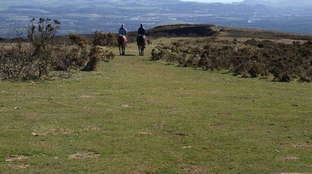 Riders on Haytor Down Seen from the car park on Higher Terrace, the lane north of Haytor Vale to Yarner Wood. The view is across South Devon to the Teign estuary.