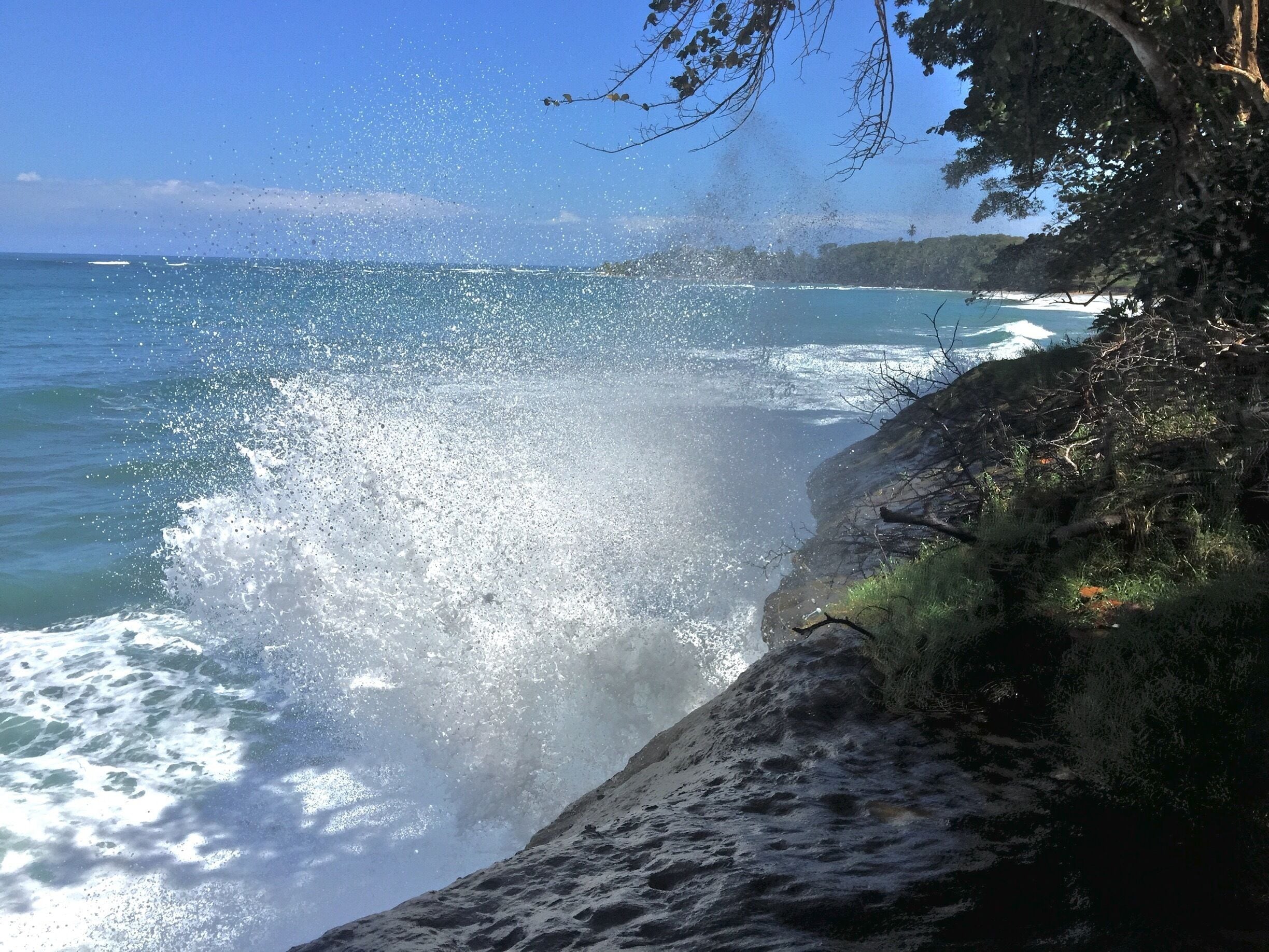 Punta uva, puerto viejo, limón, Costa Rica 