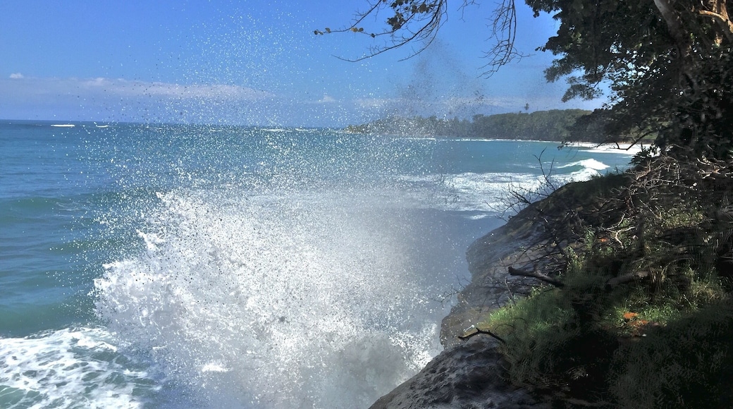 Punta uva, puerto viejo, limón, Costa Rica