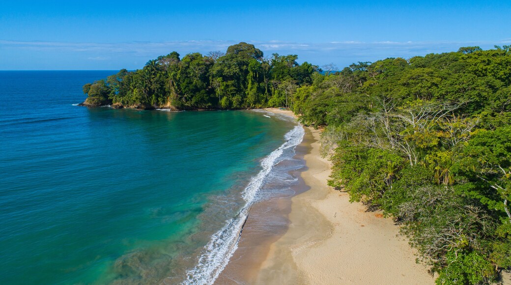 Punta Uva