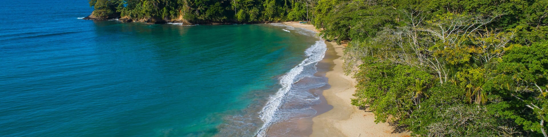 A coastal landscape with a sandy beach, turquoise waters, and dense green foliage.