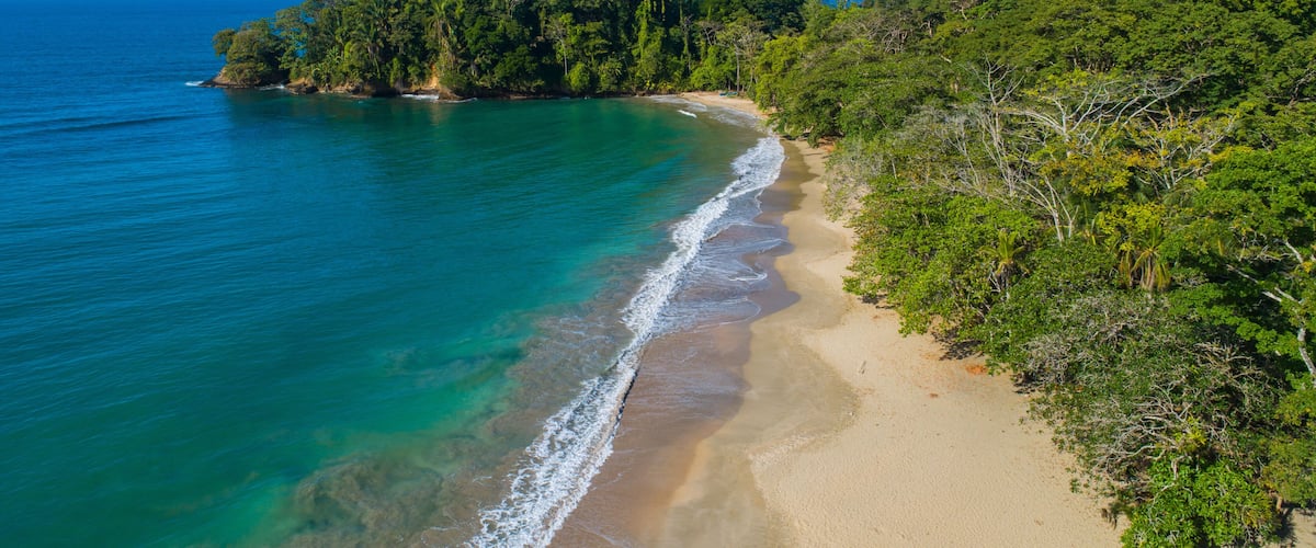 A coastal landscape with a sandy beach, turquoise waters, and dense green foliage.