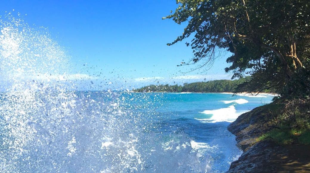 Punta uva, puerto viejo, limón, Costa Rica