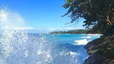 A coastal scene with waves crashing onto a sandy beach, surrounded by greenery and a clear blue sky.