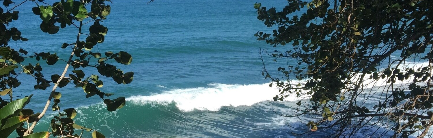 Punta uva, puerto viejo, limón, costa rica