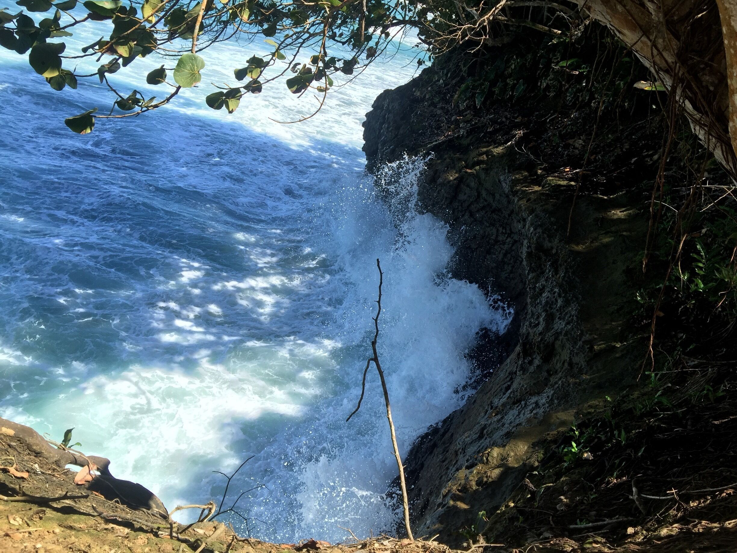 Punta uva, puerto viejo, limón, Costa Rica 