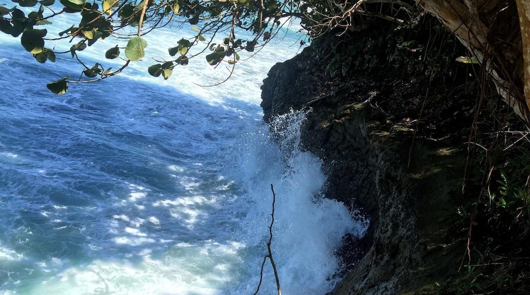 Punta uva, puerto viejo, limón, Costa Rica