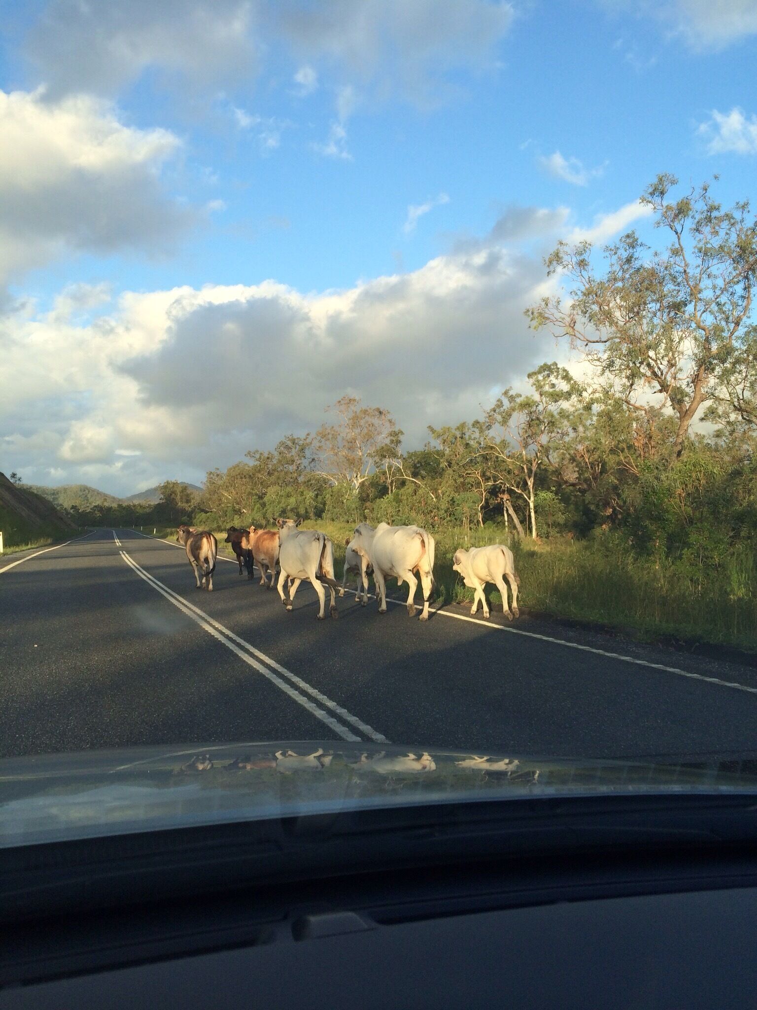 #WeekendGetaway - slowing down as one does!
Australian #roadtrip.