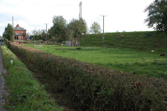 A rural landscape with a grassy field, a hedge, a small building, and a sheep in the distance.