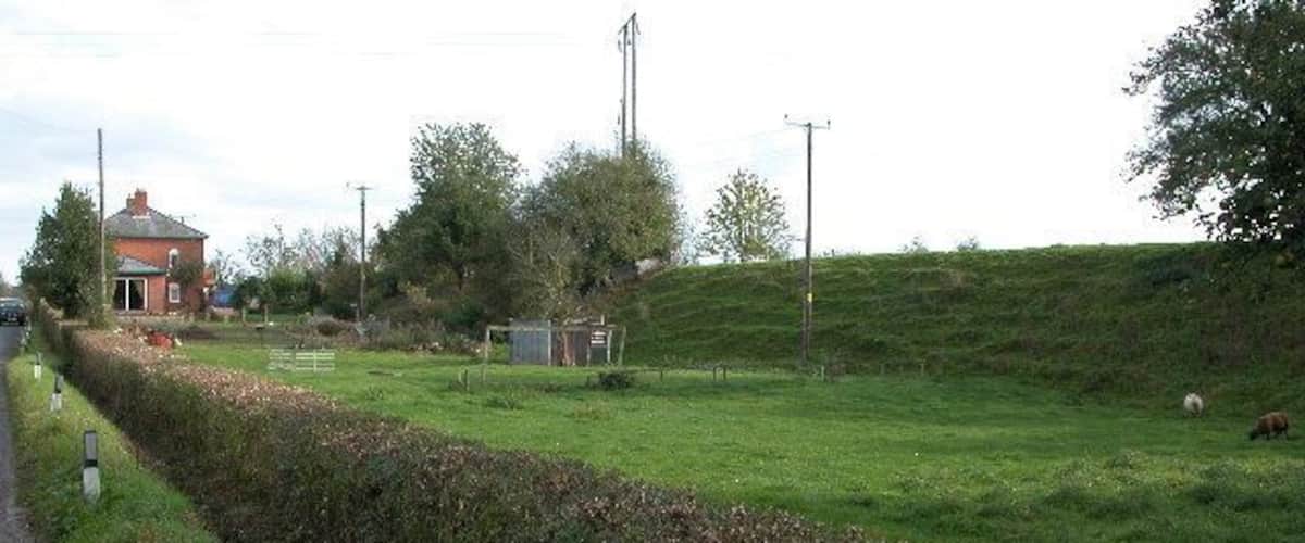 A rural landscape with a grassy field, a hedge, a small building, and a sheep in the distance.