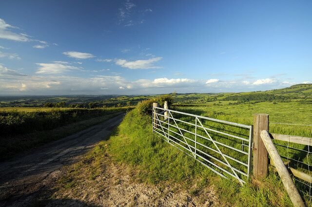 Minor road and field gate south of Newtown, Wales