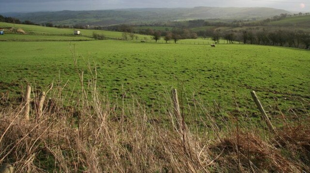 Pastures at Cwmbyr These sheep pastures sit at around the 400m mark and belong to the farm at Cwmbyr. A solitary sheep wonders where to start next...