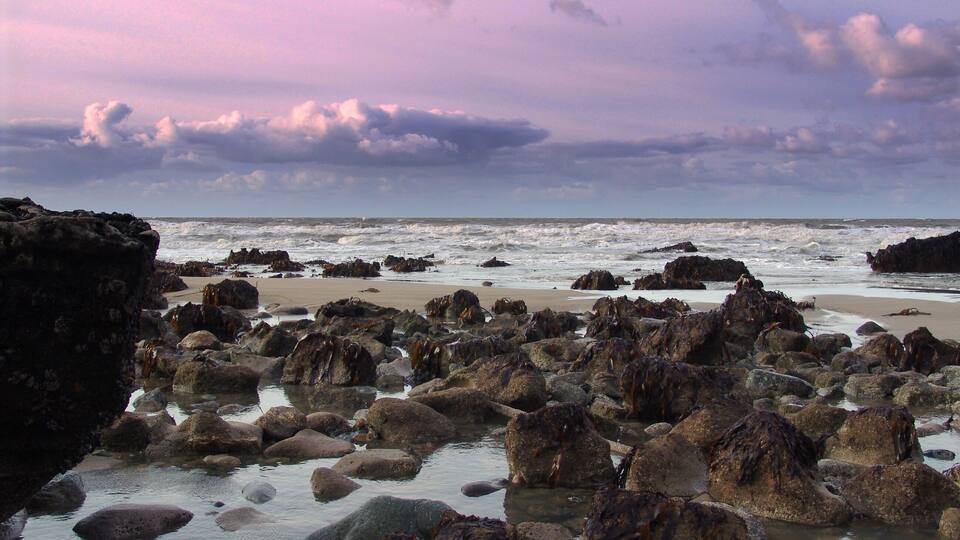 A rocky shoreline with waves crashing against the rocks and a beach in the background.
