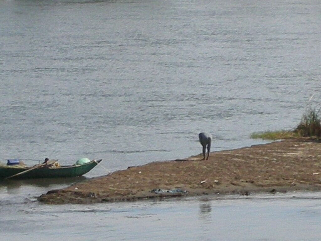 A calm river with a green boat and a dog standing on the shore.