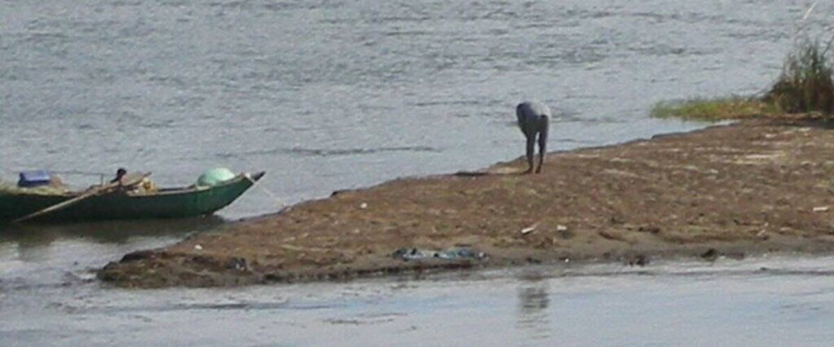 A calm river with a green boat and a dog standing on the shore.