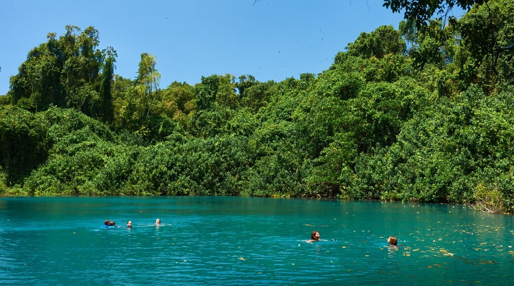 Malo Island ofreciendo natación y un río o arroyo y también un pequeño grupo de personas