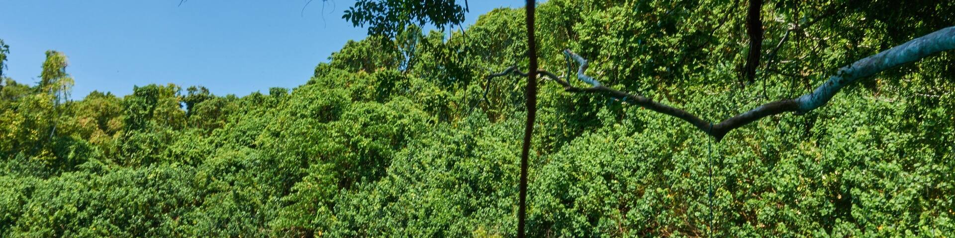 Malo Island showing swimming and a river or creek as well as a small group of people