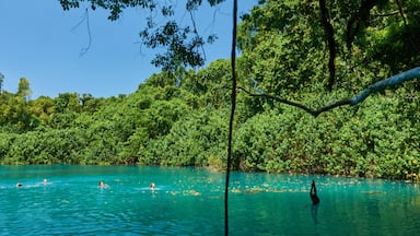 Un lago turquesa y cristalino rodeado de frondosa vegetación verde.