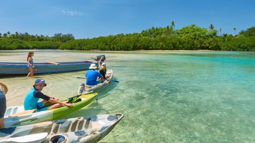 Malo Island mettant en vedette kayak ou canoë, scÚnes tropicales et vues littorales