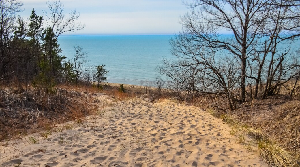 Sand dunes with traces of people on a sand path down. Indiana Dunes National Lakeshore, USA