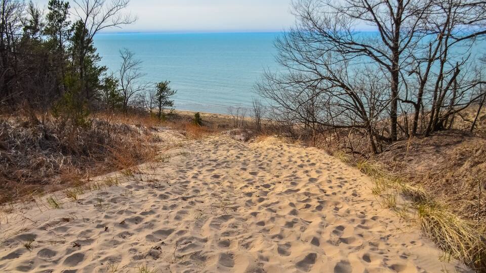 A sandy path leading to a beach with sparse vegetation and a clear view of the ocean.