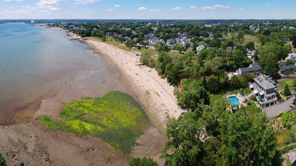 A coastal residential area with a beach, houses, and a large body of water.