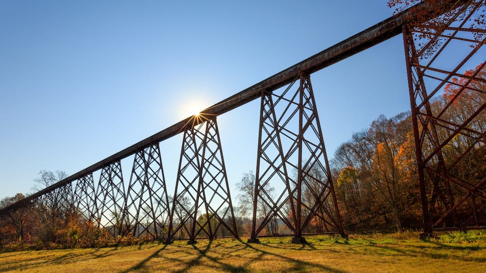 Tulip Trestle Sunburst