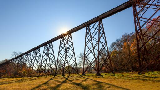 Tulip Trestle Sunburst