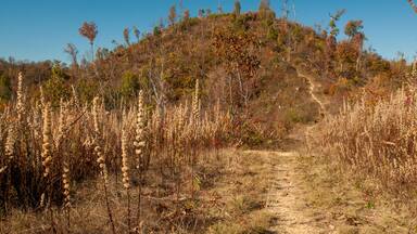 Borden, Indiana / United States - November 6, 2016: Knobstone Trail Jackson Road Trailhead