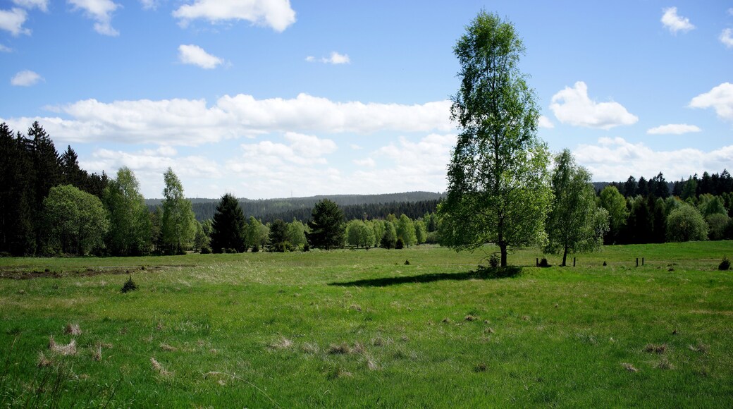 This is a picture of the protected area listed at WDPA under the ID