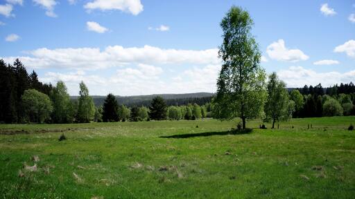 This is a picture of the protected area listed at WDPA under the ID