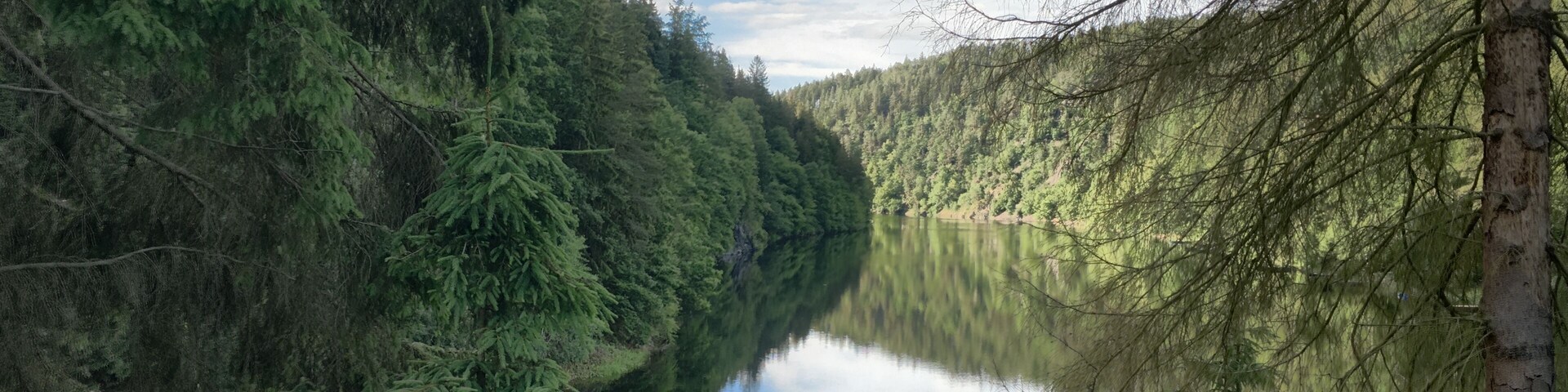 A calm river surrounded by dense forest and a clear sky.