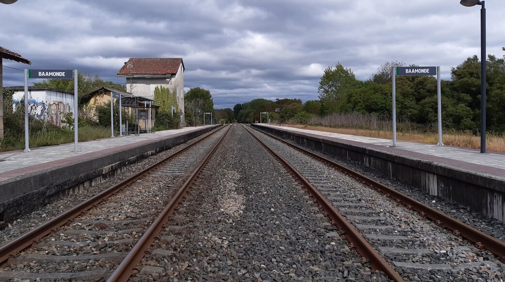 ๋ฐ๋ชฌ๋ฐ