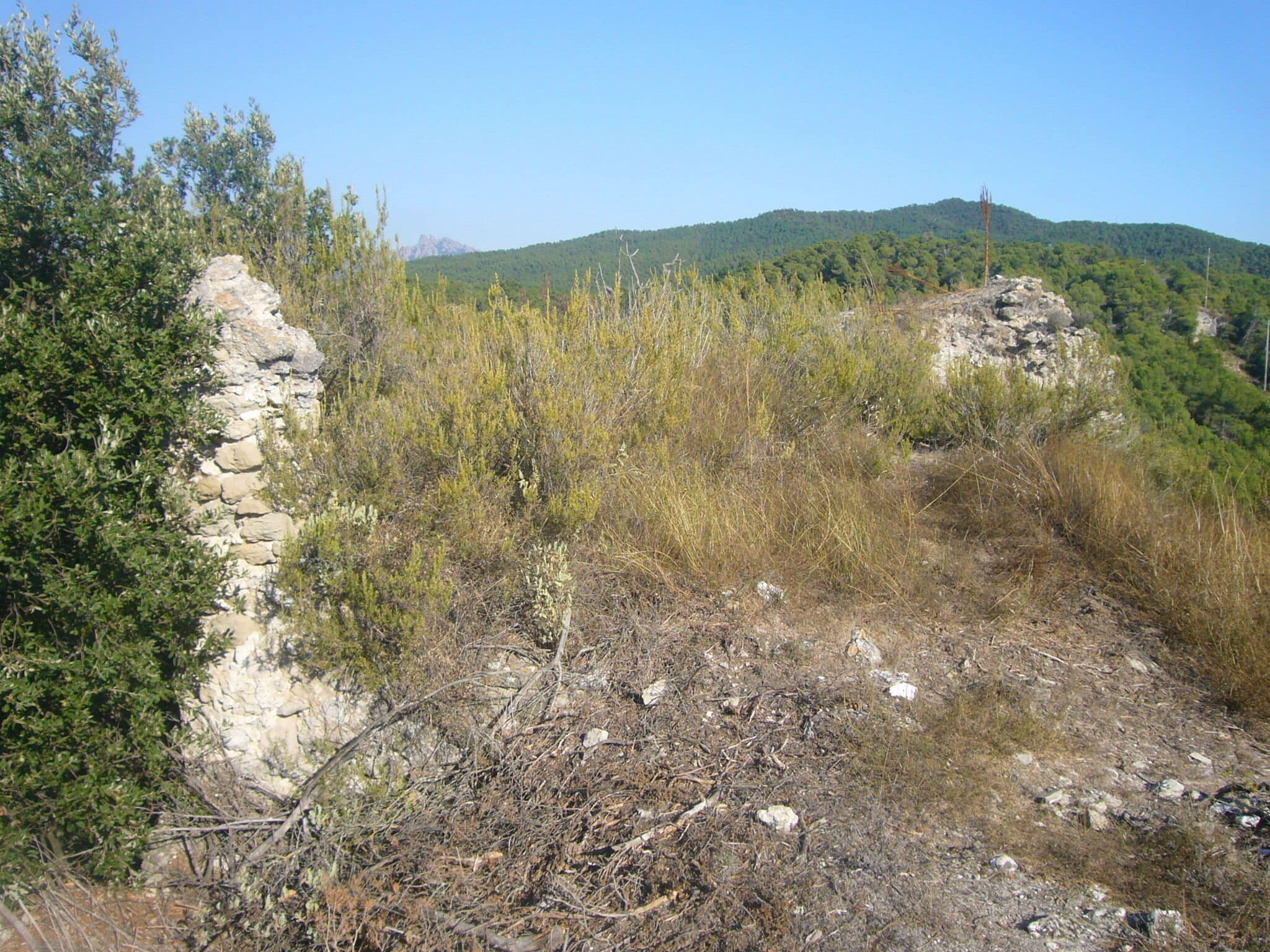 Extrem est del Castell de Castellolí