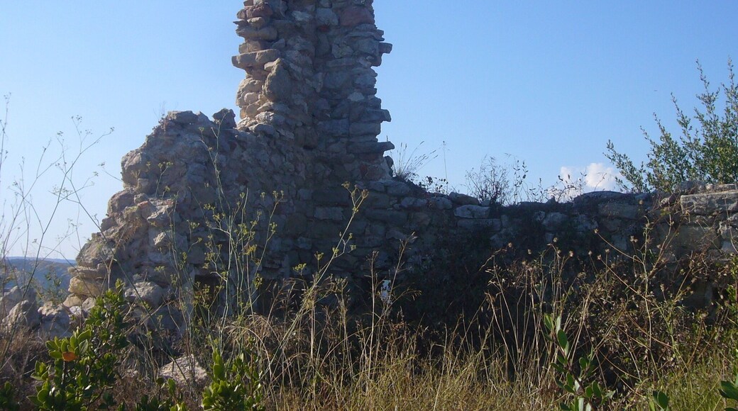 Castell de Castellolí