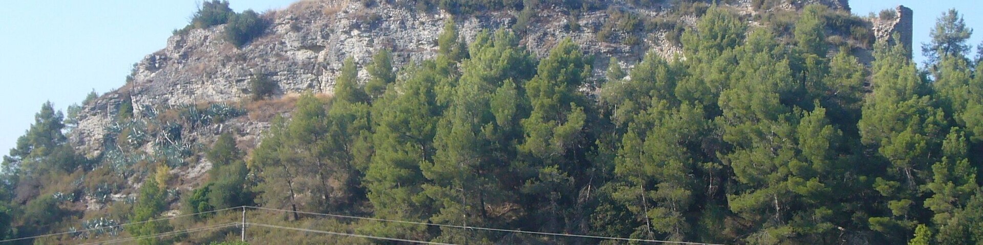 Castell de Castellolí , vist des del sud, uns metres a l'est de la masia de Cal Jaume Bruguers
