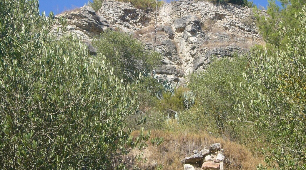 Turó del Castell de Castellolí vist des del sud