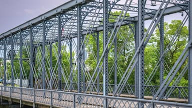 Wells Street Bridge and rain storm flood at the St. Marys River, Fort Wayne, Allen County, Indiana