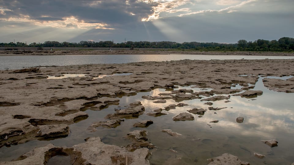 A riverbank with exposed rock formations and a distant tree line under a cloudy sky.