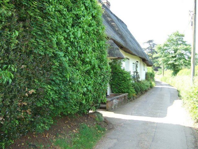 The Thatch, Brook End. This cottage is called "The Thatch" appropriately enough. It is in a part of Eversholt called Brook End.