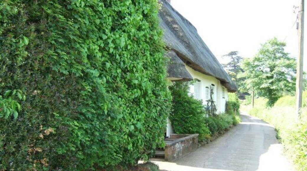 The Thatch, Brook End. This cottage is called "The Thatch" appropriately enough. It is in a part of Eversholt called Brook End.