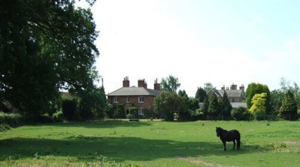 Tyrells End, Eversholt. A view across a paddock at Tyrells End towards some of the substantial houses that make up this part of Eversholt.
