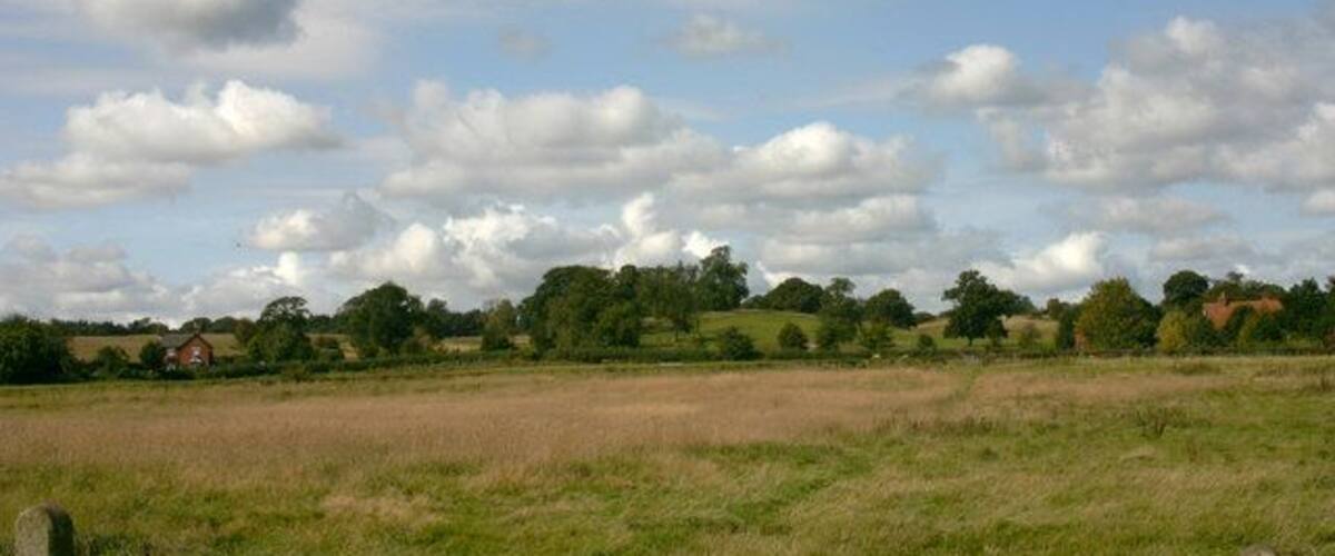 A rural landscape with a field, scattered trees, and a partly cloudy sky.