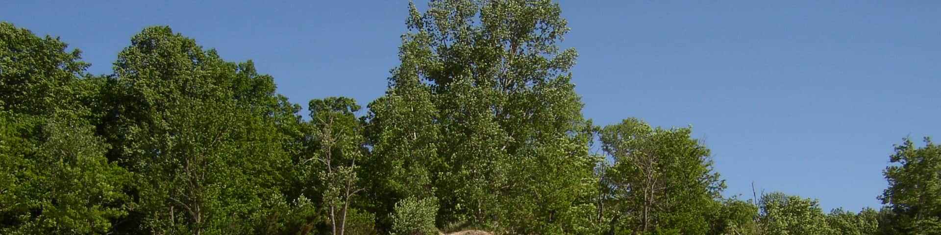 Indiana Dunes State Park