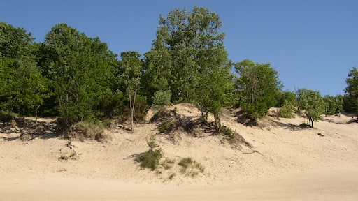 Indiana Dunes State Park