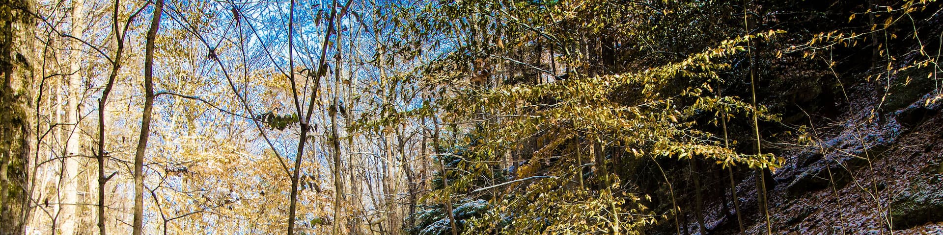Hemlock Cliffs in Autumn after a light snow, Indiana