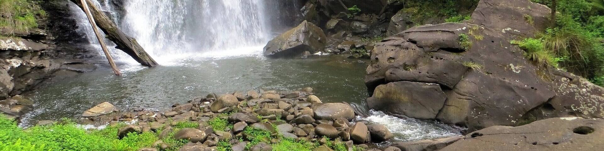 Just one of the great waterfalls in the Otways area; and one that is easy to get up close to!