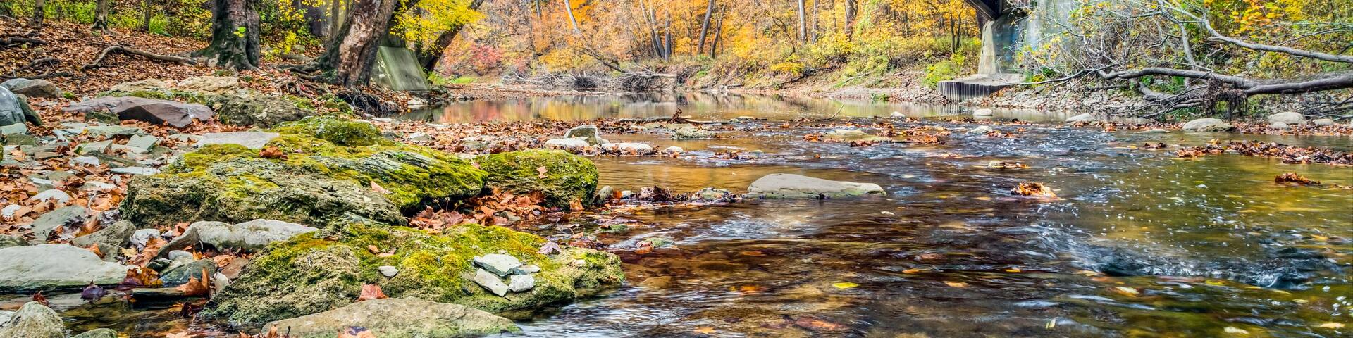 Rolling Stone Covered Bridge