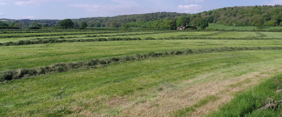 Fields in Flax Bourton, looking northwards.